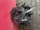 Motor Citroën Xsara Peugeot 206 KFX 1,4 BN 55 KW Motor Citroën Xsara Peugeot 206 KFX 1,4 BN 55 KW